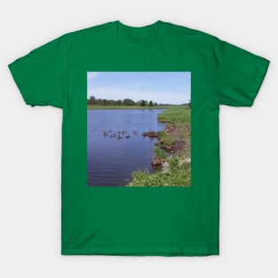 Ducks & Loons in Nature T-Shirt